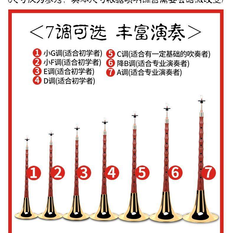高档血檀木唢呐乐器全套CEFGD调初学者老专业儿童大小号民间,淘宝优惠券,粉丝福利购,淘宝优惠卷
