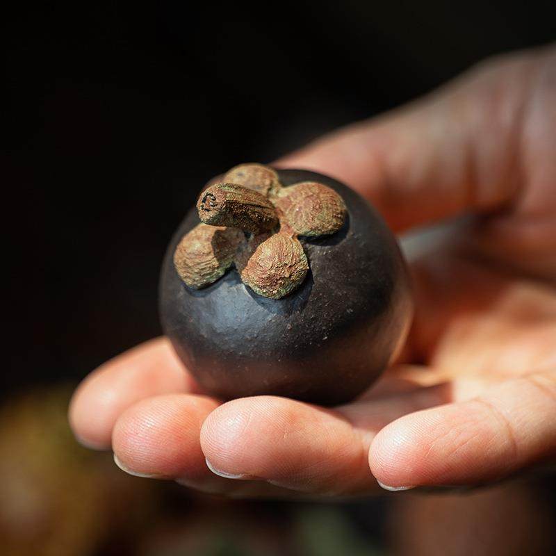 宜兴紫砂茶宠水果摆件蔬菜枣子石榴荔枝茶具雕塑柿子石榴茶玩,淘宝优惠券,粉丝福利购,淘宝优惠卷