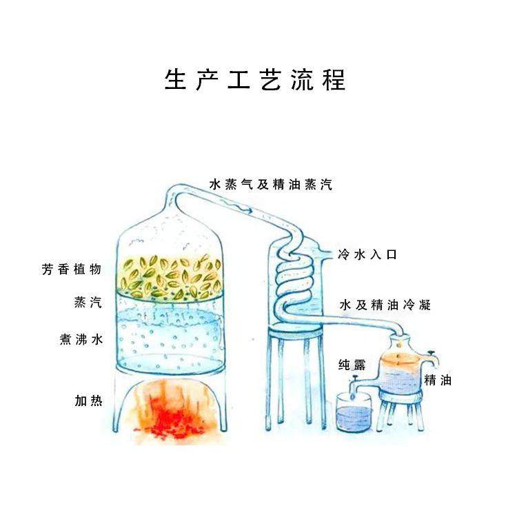 供应皂角纯露皂角子纯露长皂荚纯露皂角提取物皂角提取液供原,淘宝优惠券,粉丝福利购,淘宝优惠卷