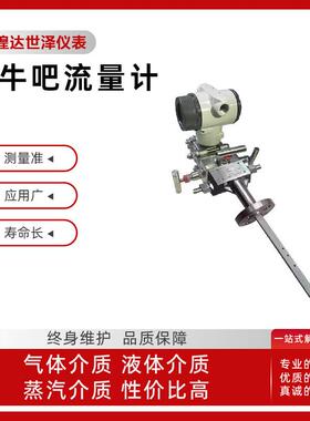 孔板蒸汽流量计煤灰气V锥流量计喷嘴气体流量计粘稠性楔形流量计