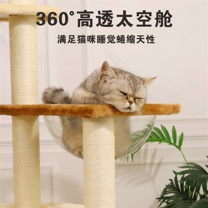 藤编实木猫爬架猫窝猫树一体剑麻猫抓板太空舱四季大跳台猫咪用品,淘宝优惠券,粉丝福利购,淘宝优惠卷