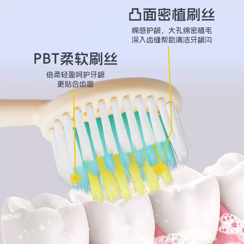 【熊猫甄选】罗马柱软毛牙刷洁净护龈情侣家用深层清洁牙齿