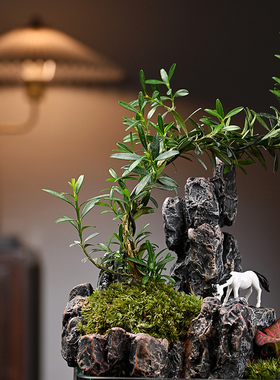 假山流水鱼缸造景黄杨绿植摆件创意办公室客厅桌面水循环开业礼品