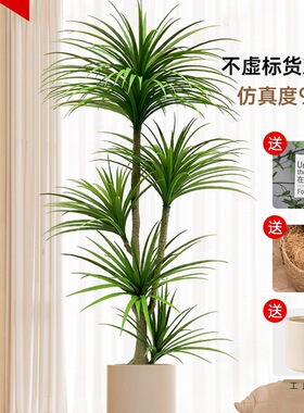 龙血树仿真绿植龙须树龙铁树客厅装饰室内大型假植物盆栽落地摆件