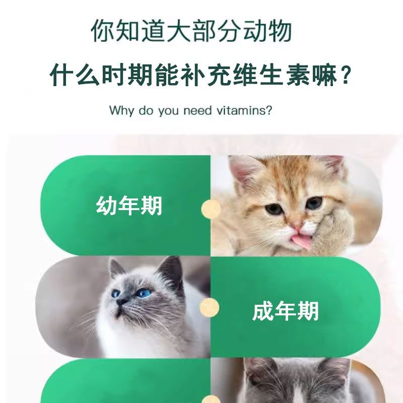 金渐层专用复合维生素片宠物补充剂成幼猫维生素b猫咪营养品保健,淘宝优惠券,粉丝福利购,淘宝优惠卷