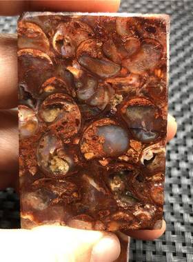 红厂家一手2011无螺天珠法螺平安事牌