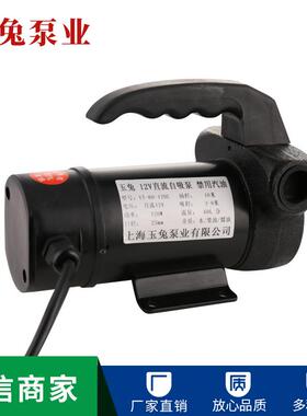 220v48v24v12v直流油泵抽油泵自吸泵加油泵柴油吸油泵微型抽油机