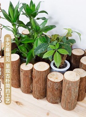 真实树桩木桩原杉木桩圆木墩篱笆栏栅商场服装店餐厅橱窗花艺道具