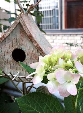 花园铁艺鸟窝花插 庭院户外做旧爬藤架园艺花架 美式乡村花园小品