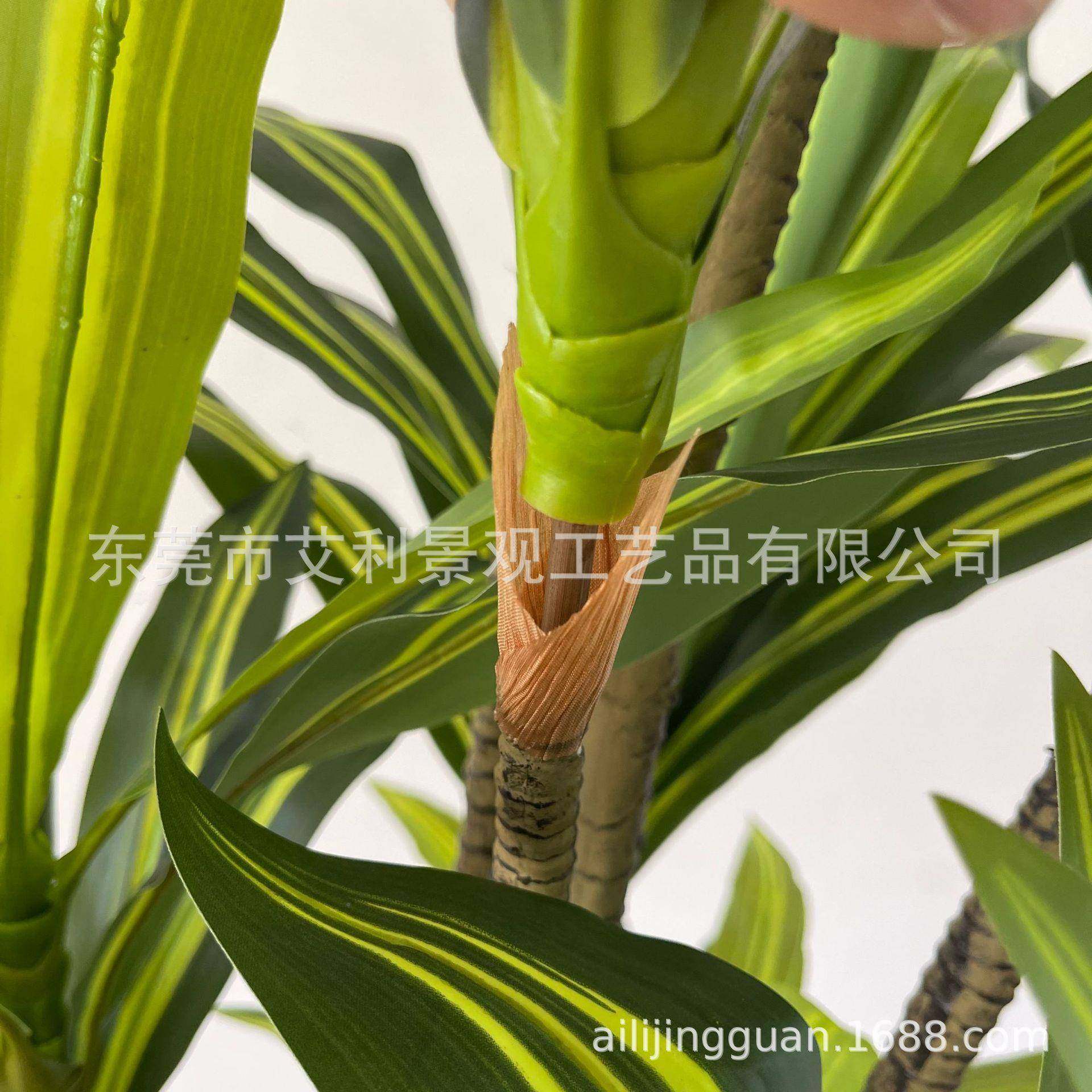 大型落地家绿树植巴西木盆栽居室内AL-BXT-1植装饰摆件巴西铁物,淘宝优惠券,粉丝福利购,淘宝优惠卷