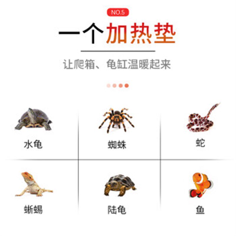 爬虫加热垫爬宠乌龟蜥蜴守宫蛇温控刺猬仓鼠宠物加热片加温保温片,淘宝优惠券,粉丝福利购,淘宝优惠卷