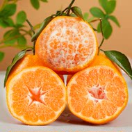 四川春见耙耙柑4.5斤粑粑柑