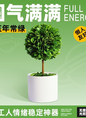 办公室桌面绿植摆件情绪稳定神器工位解压小盆栽室内客厅旺宅植物