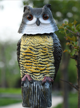 户外驱鸟神器仿真猫头鹰摆件园林驱鼠驱鸟神器赶鸟器仓库阳台驱鸟
