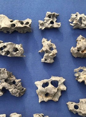 太湖石天然原石小鱼缸微盆景造景石太湖石微景观造景石