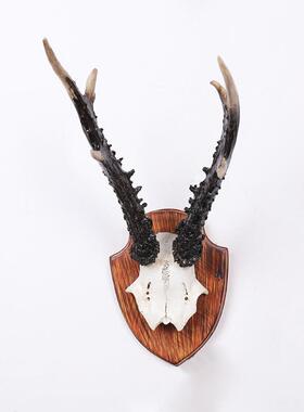 挂羊头鹿头动物头壁软装样CF113044板房墙玄关客厅壁饰办公室创羚