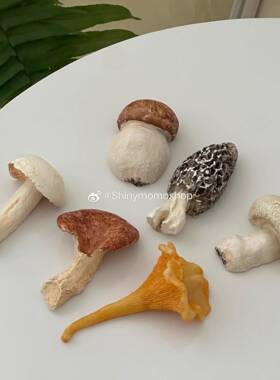 仿真10064973创意法式菇筷子彩架色可爱蘑菇头n蘑s复古树脂i菌子
