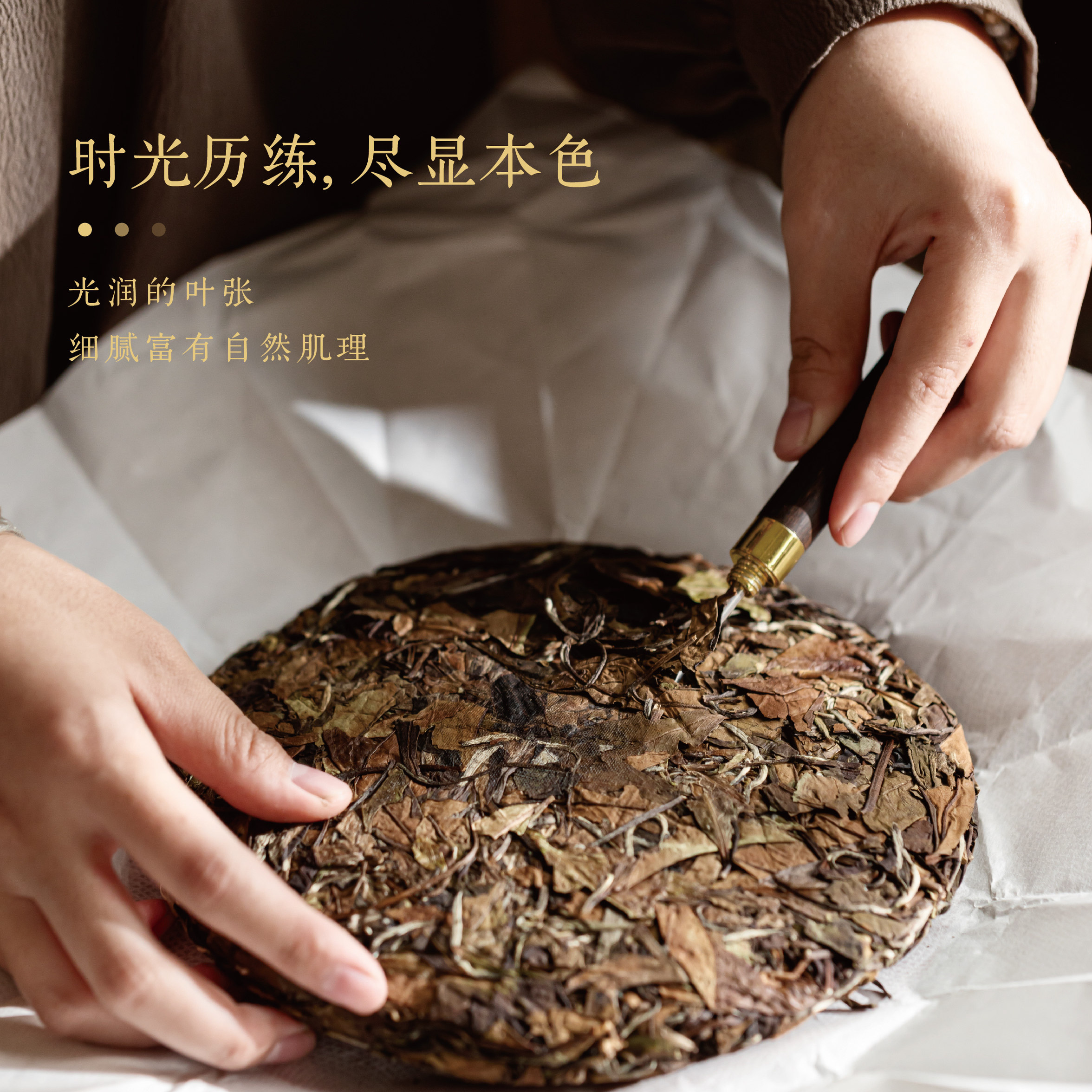 文喜白新款上市优质茶系列2022年寿眉福来福往商务礼盒系列300g饼,淘宝优惠券,粉丝福利购,淘宝优惠卷