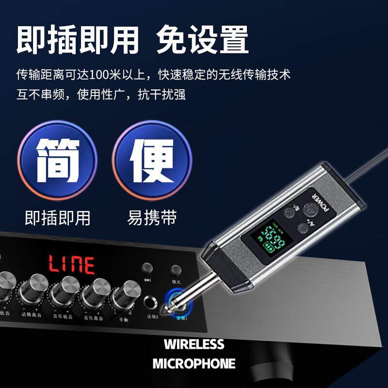 Lang MC20 handheld rechargeable wireless microphone U-section home KTV singing stage hosting speech conference speaker