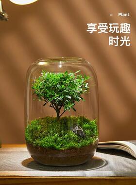 微景观办公创意桌面摆件，高端女生工作站减压、疗愈、情绪稳定、