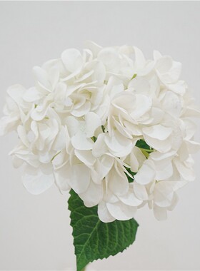 高品质手感保湿绣球花家居客厅桌面装饰花卉单支假花摆件拍照道具