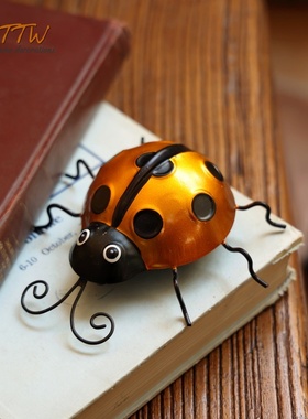 庭院装饰亮色系甲虫七星瓢虫拍照道具创意铁艺壁挂墙饰