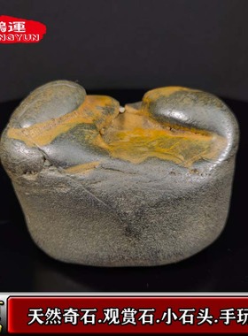 天然小石头玉石盆景石鱼缸石头玉石观赏石把玩石龟晒石小摆件孤品