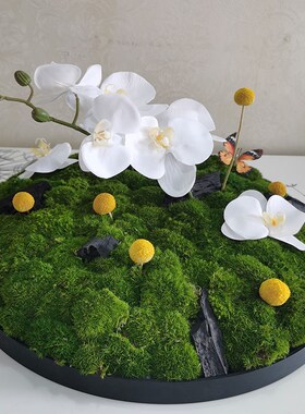 永生苔藓微景观餐桌高档装饰花摆件客厅酒店会所酒店大圆桌会议桌