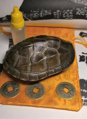 龟趣天然完整真乌龟壳文玩盘玩手把件龟甲家居客厅摆件桌面中式