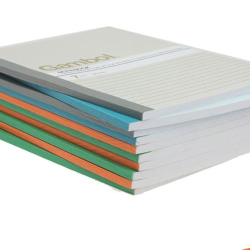 A5渡边笔记本 30页 40页50页 80页100页 无线装订软抄 螺旋笔记本 - 图1