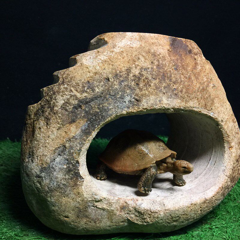 乌龟阶梯斜坡晒台爬台 石头桥洞躲避攀爬架 鱼虾蟹守宫两栖嬉戏岛,淘宝优惠券,粉丝福利购,淘宝优惠卷