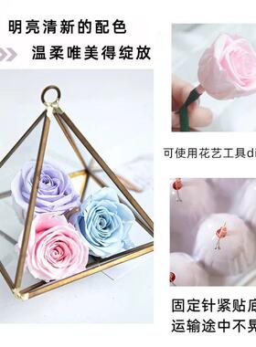 永生花A级3-4cm10朵盒玫瑰干燥花花瓣八音盒相框礼物DIY装饰材料