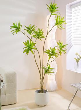 真花绿植饰百合竹视高07320926端轻奢仿生植物客厅仿电柜落地装假