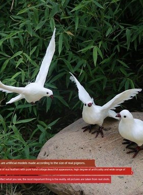 彷真鸽子摆件假鸽子模型婚庆和平鸽道具羽毛鸟类白鸽软装饰品摆设