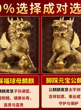纯黄铜麒麟摆件公母一对八卦麒麟客厅家用办公装饰开 业礼物工艺