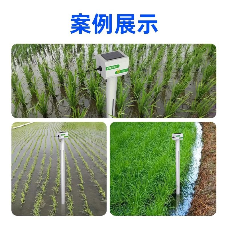 智能稻田水位计4G无线智慧农业液位监测高精度插入式传感器,淘宝优惠券,粉丝福利购,淘宝优惠卷