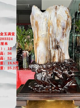 树化玉原石摆件家居客厅木化玉靠山石天然树化石书房观赏石木化石