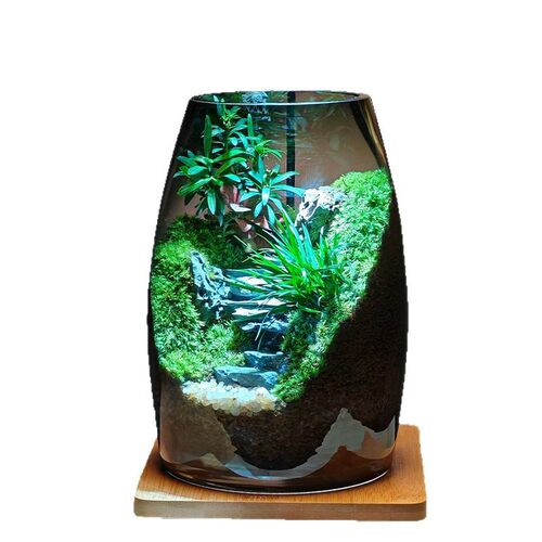 成功之路景观瓶生命之树创意苔藓微摆件办公室桌面缸绿植造景盆景 - 图3