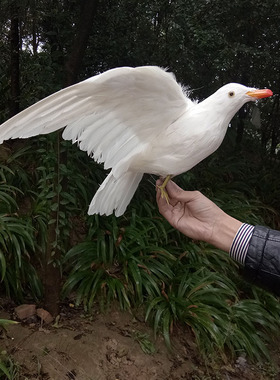 仿真展翅海鸥 婚纱摄影 办公室商场装饰家庭摆件影视场景道具模型