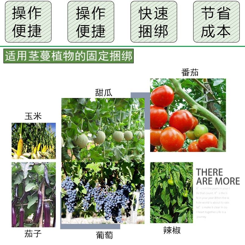 西红柿绑枝机葡萄捆绑机新款圣女果黄瓜绑蔓机胶带钉子番茄结束机,淘宝优惠券,粉丝福利购,淘宝优惠卷