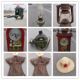 Collection of old folk objects, nostalgic miscellaneous wooden forks, washbasins, radios, baskets, docks and other antiques and old things.