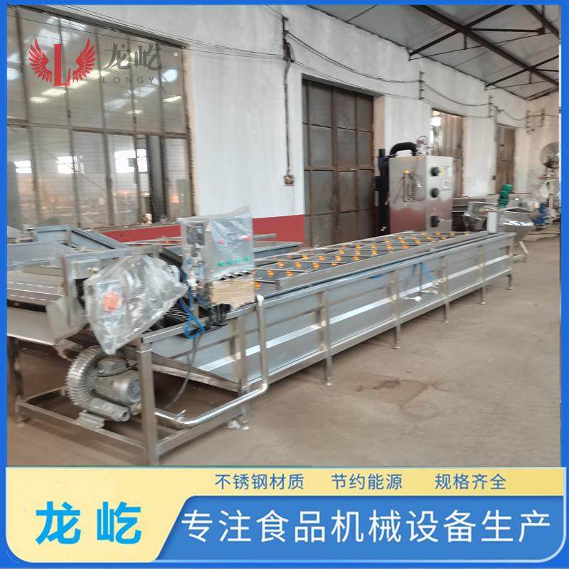 全自动小鱼仔清洗线6000型蔬菜清洗设备304材质果蔬气泡清洗机,淘宝优惠券,粉丝福利购,淘宝优惠卷