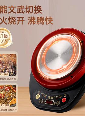 中药养生电煎壶全自熬药药熬汤砂锅药罐家用煎锅炖药煲动YH001药