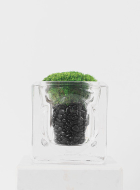 简约现代茶桌小盆景绿植摆件售楼处样间客厅酒店玻璃盆景装饰摆设