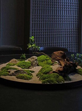 餐桌中间摆花桌摆大圆桌转盘枯景摆件高端酒店餐厅微缩景观摆台