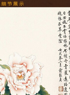 富贵耄耋图 牡丹白猫蝴蝶花鸟画 书房玄关装饰画卷轴挂画国画定制