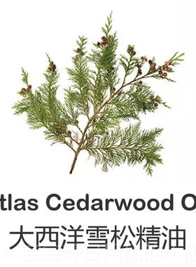 正品芳香西洋雪松单方精油0孔ml深层清大洁收缩毛脸部控1油面部按