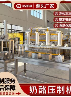奶酪奶豆腐压制成型设备传统驼奶条制作机器小型奶酪压制机