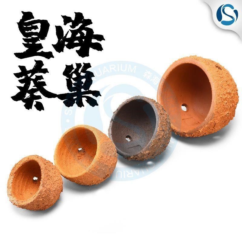 奶嘴防跑器奶嘴窝家杯海葵地毯屋窝家奶嘴杯海葵容器皇海葵巢,淘宝优惠券,粉丝福利购,淘宝优惠卷