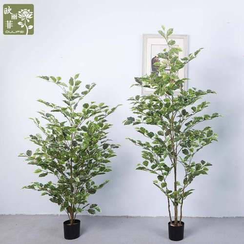 新款仿真布绿植双色仿真榕树室内软盆装婚庆场景置栽IBT道具摆件 - 图0